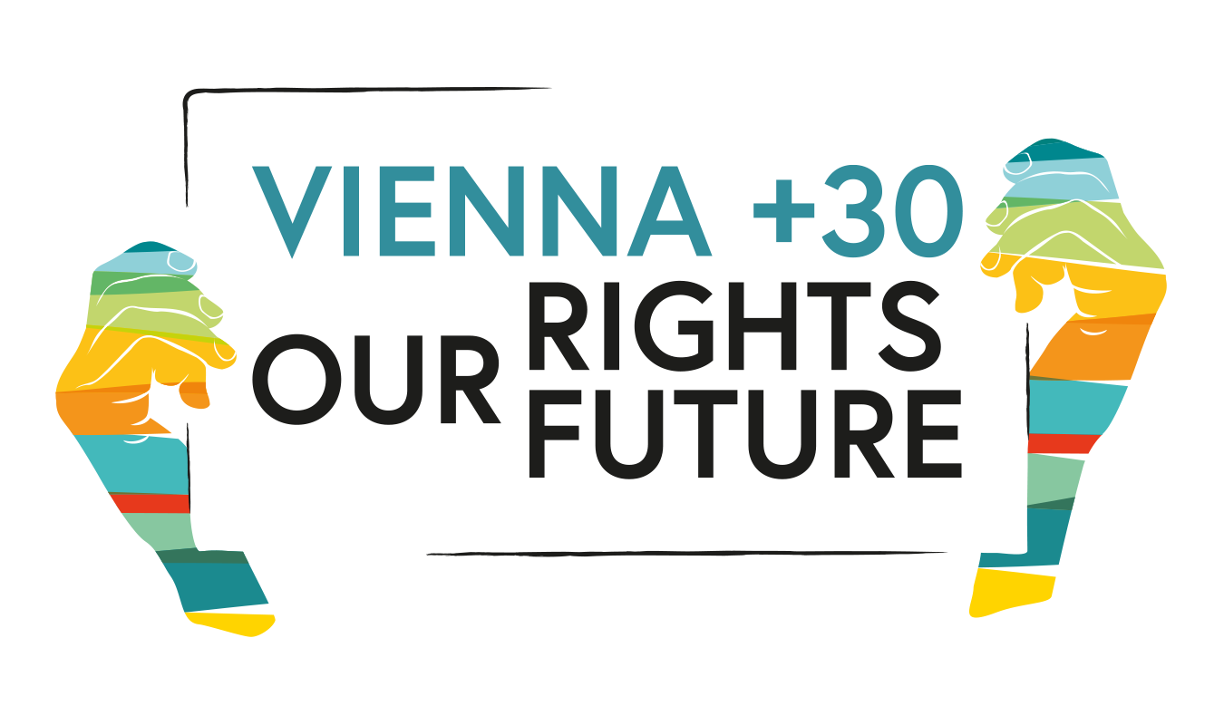 Vienna +30 Logo